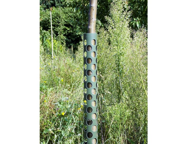 Protection de tronc rigide